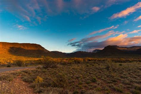  「Lionheart」:  勇敢なる冒険と南アフリカの雄大な風景